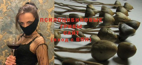 соль ск Зеленодольск