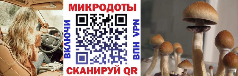 Галлюциногенные грибы прущие грибы  Лысково 